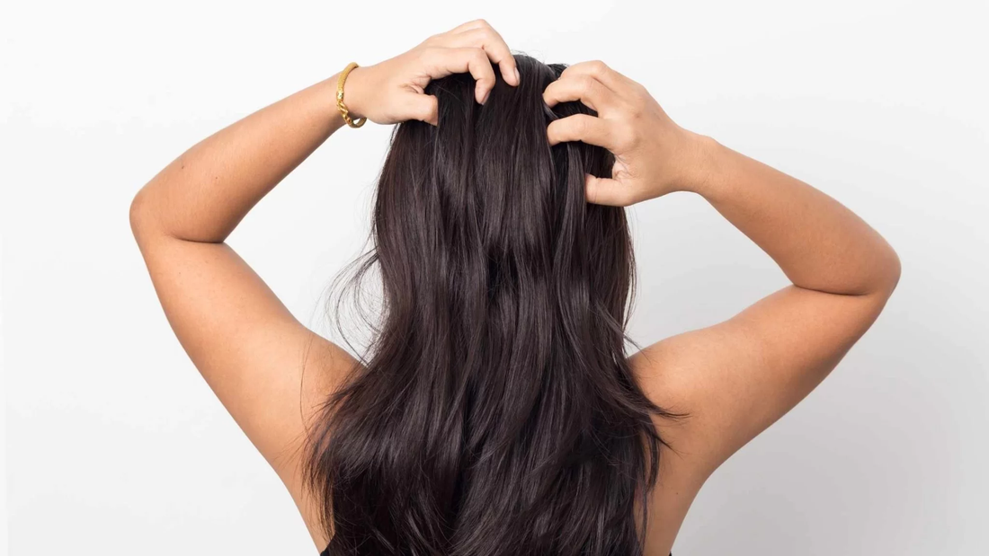 The Science Behind Scalp Health: A Holistic Guide to Hair Wellness