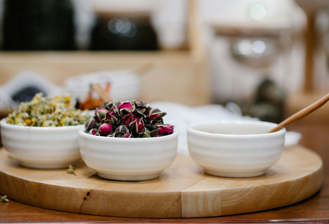 The Power of Plants: A Deep Dive into Herbal Remedies